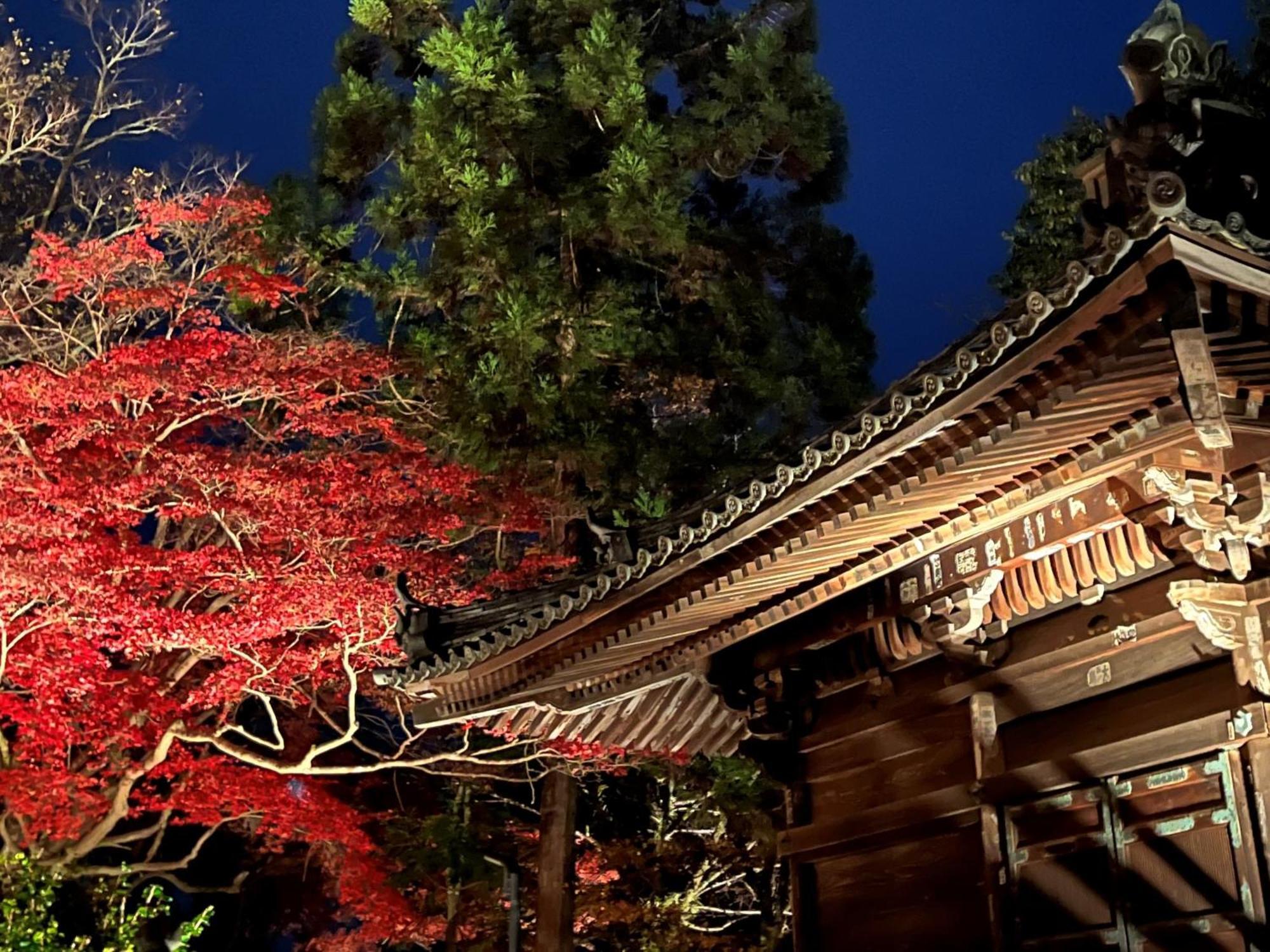 Vessel Inn Shigamoriyama Station Luaran gambar
