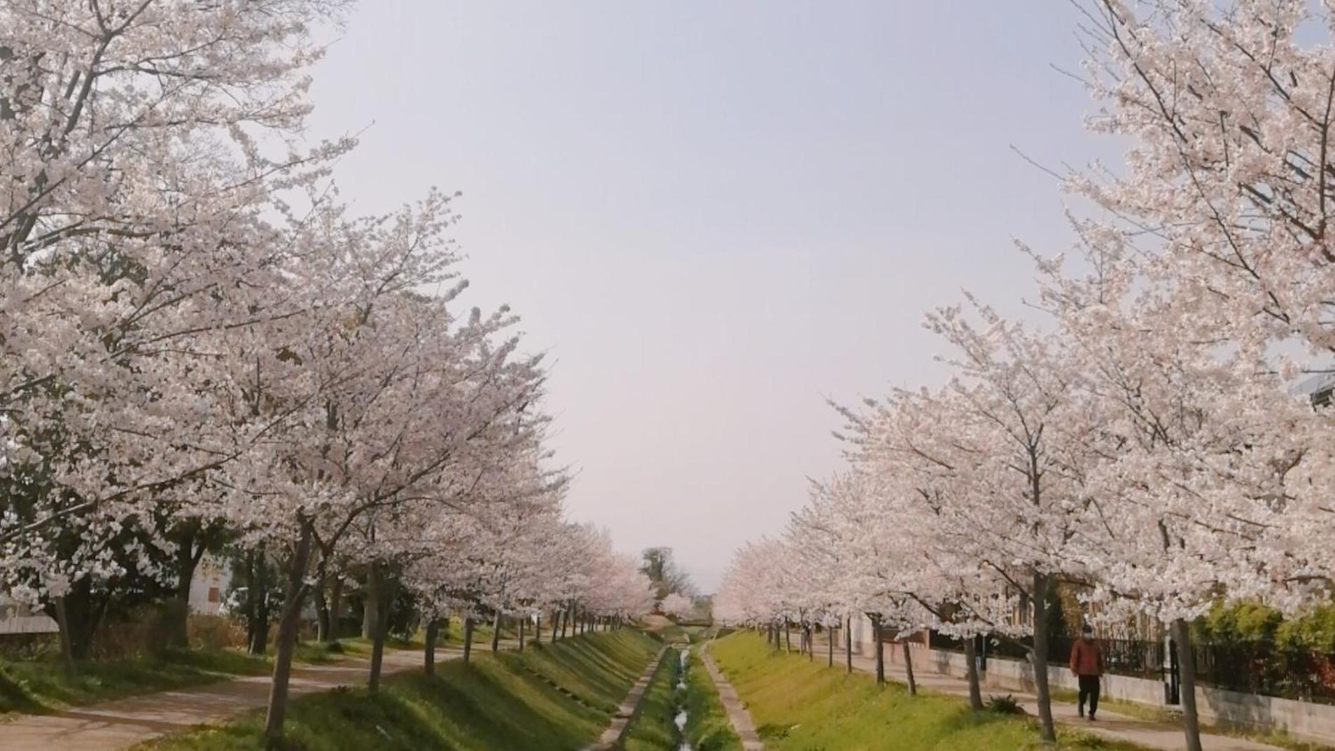 Vessel Inn Shigamoriyama Station Luaran gambar